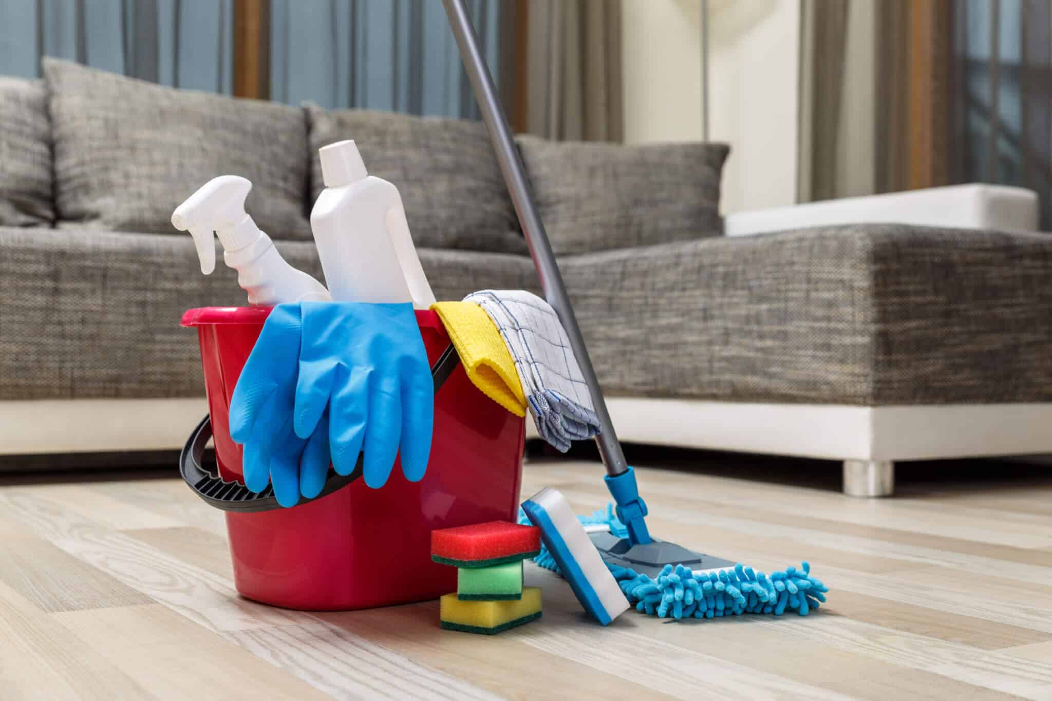 Cleaning Service 7