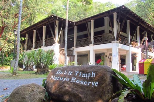 Bukit Timah Nature Reserve 1