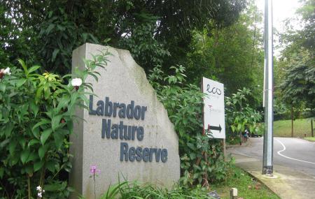 Labrador Nature Reserve Singapore 1