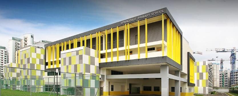 Springdale Primary School