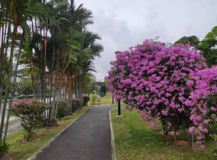 Ang Mo Kio Town Garden West Walkway