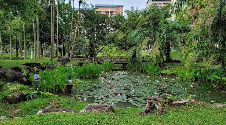 Bishan Ang Mo Kio Park Pond