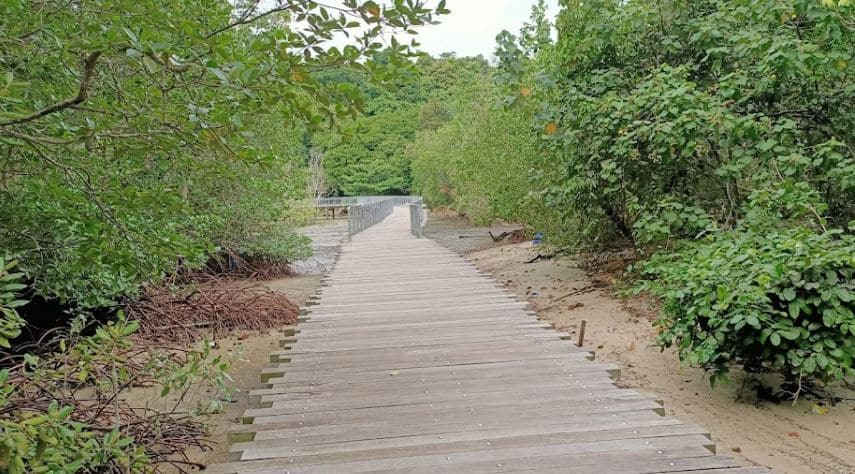Chek Jawa Walkway