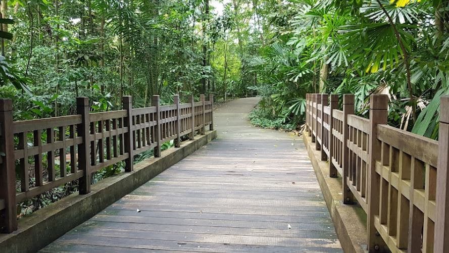 Hindhede Nature Park Footbridge