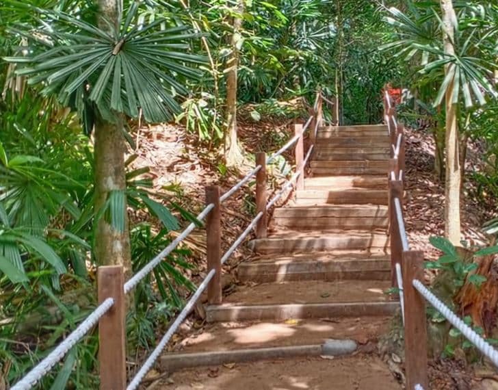 Hindhede Nature Park Stairs