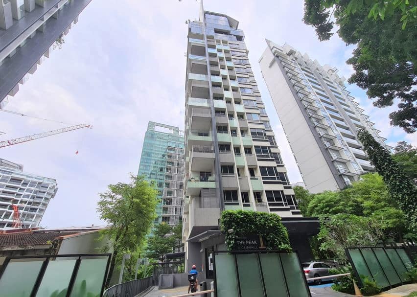 Singapore District 9 condominium 1