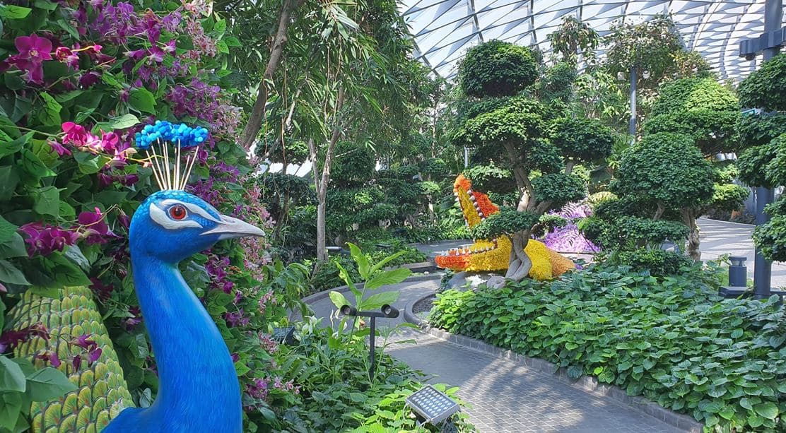Jewel Changi Airport Garden