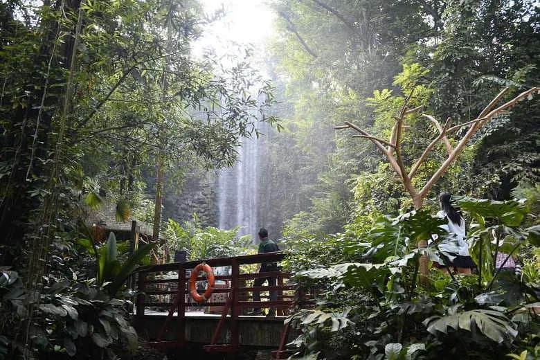 New rainforest to be added to Mandai wildlife attractions
