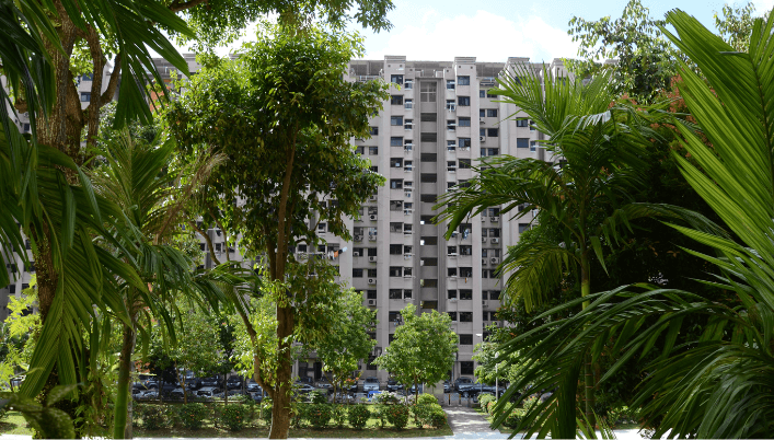 Introduction to Apartment Living in Singapore