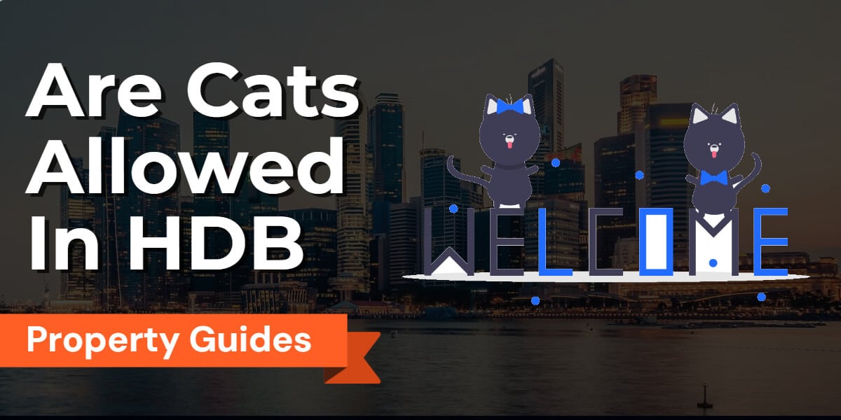 Are Cats Allowed in HDB Flat? | Rules, Guidelines & Addressing Concerns in Singapore