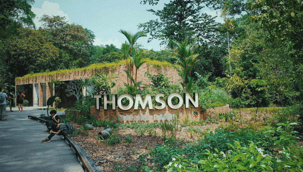 Thomson A Vibrant District in Singapore